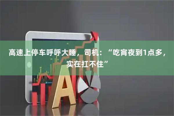 高速上停车呼呼大睡，司机：“吃宵夜到1点多，实在扛不住”