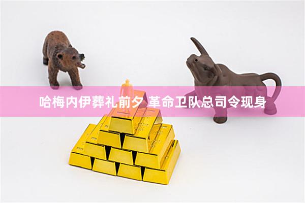 哈梅内伊葬礼前夕 革命卫队总司令现身